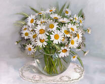 Без бренда «2KMA-0021» в Мурманске