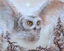 Без бренда «2KMB-3848» в Мурманске