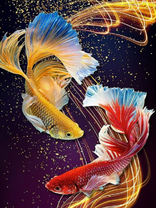 Без бренда «Желтая и красная рыбки» в Мурманске