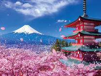 Без бренда «2KSB-7277» в Мурманске