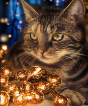 Без бренда «2KXSB-0678» в Мурманске