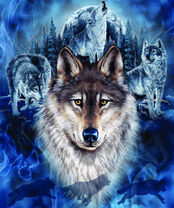 Без бренда «2KXSB-0687» в Мурманске