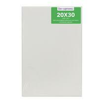 Без бренда «Коробка 80 шт.: Холст Две картинки на подрамнике 20X30» в Мурманске