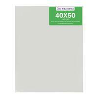 Без бренда «40 холстов! Коробка 20 шт.: 20 наборов по 2 шт. холст Две картинки на подрамнике 40X50 (всего 40 холстов)» в Мурманске в интернет-магазине  Без бренда «40 холстов! Коробка 20 шт.: 20 наборов по 2 шт. холст Две картинки на подрамнике 40X50 (всего 40 холстов)» в Мурманске