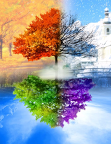 Без бренда «BOX10-2KLB-6100» в Мурманске