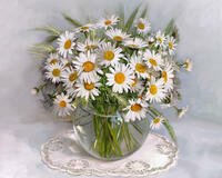 Без бренда «BOX20-2KMA-0021» в Мурманске