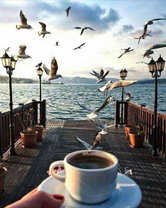 Без бренда «Кофе с видом на чаек (20шт)» в Мурманске