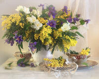 Без бренда «Натюрморт из мимоз и колокольчиков (20шт)» в Мурманске