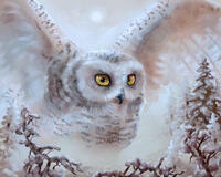 Без бренда «Полярная сова над лесом (20шт)» в Мурманске