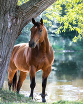 Без бренда «BOX20-2KMB-4594» в Мурманске