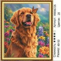 Без бренда «HWA6726» в Мурманске