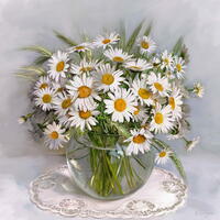 Без бренда «Букет свежих ромашек» в Мурманске в интернет-магазине  Без бренда «Букет свежих ромашек» в Мурманске