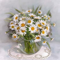 Без бренда «Букет свежих ромашек» в Мурманске