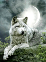 Без бренда «Коробка 25 шт. картин по номерам BOX25-GX21058» в Мурманске