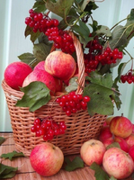 Без бренда «Коробка 25 шт. картин по номерам BOX25-GX5174» в Мурманске