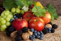 Без бренда «Фрукты, ягоды и орехи» в Мурманске в интернет-магазине Без бренда «Фрукты, ягоды и орехи» в Мурманске