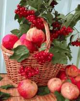 Без бренда «Плетёная корзина с калиной и яблоками» в Мурманске в интернет-магазине  Без бренда «Плетёная корзина с калиной и яблоками» в Мурманске