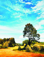 Без бренда «Осенний пейзаж с голубым небом» в Мурманске в интернет-магазине  Без бренда «Осенний пейзаж с голубым небом» в Мурманске