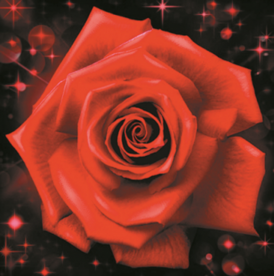 Алмазная мозаика 30x30 Красивая красная роза