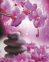 Камни, орхидеи и хризантемы