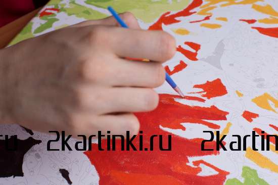 Картина по номерам 40x50 BOX25-GX21599 BOX25-GX21599 за 9900 руб.  в интернет-магазине  Картина по номерам 40x50 BOX25-GX21599