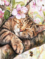 Без бренда «Волосатый котик спит на ветви яблони» в Мурманске в интернет-магазине  Без бренда «Волосатый котик спит на ветви яблони» в Мурманске